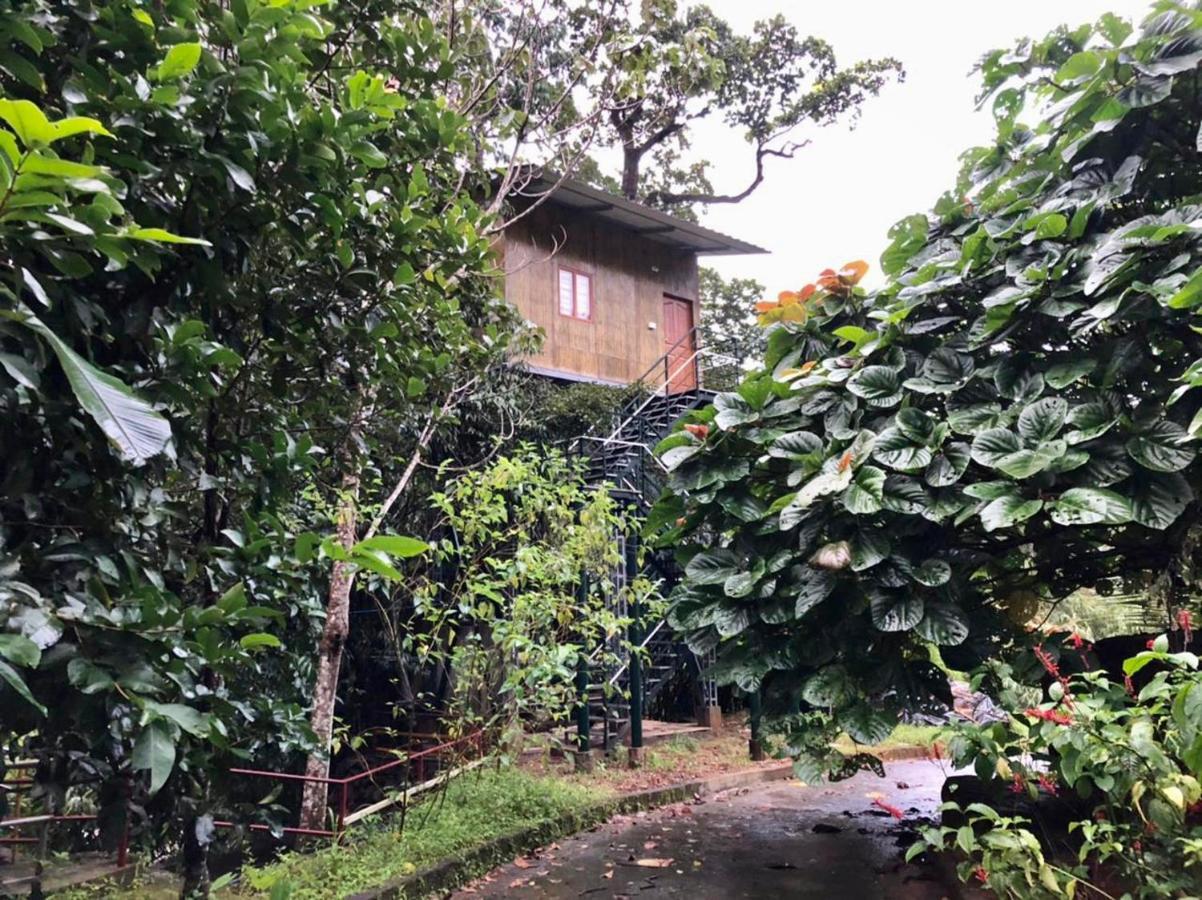 Nutmeg Valley Idukki Ngoại thất bức ảnh