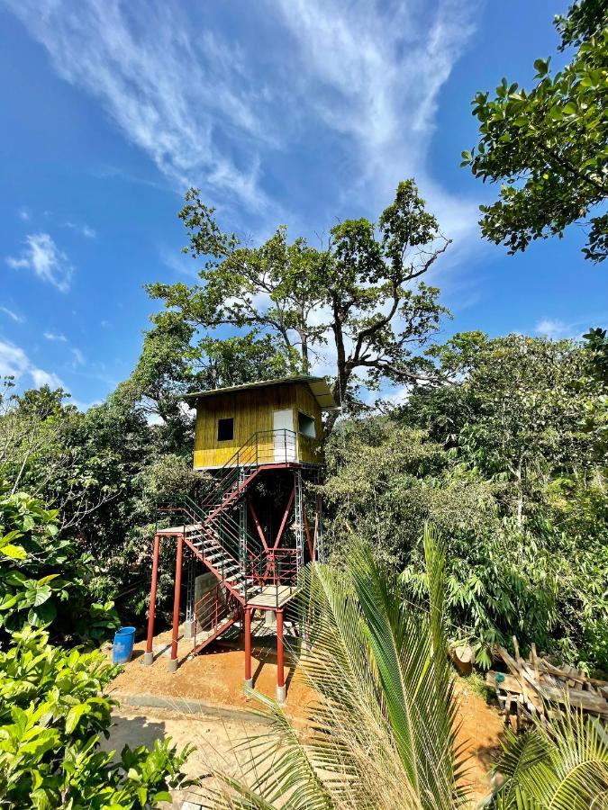 Nutmeg Valley Idukki Ngoại thất bức ảnh