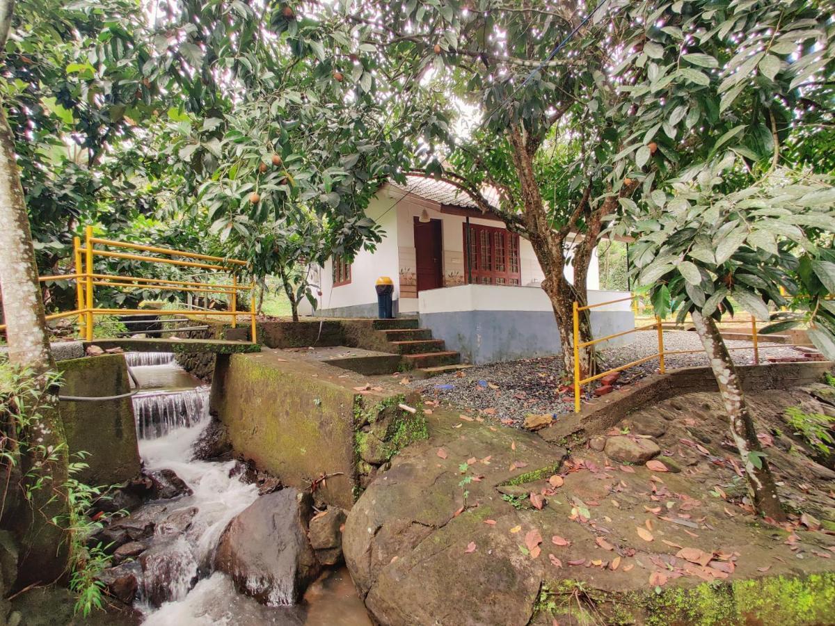 Nutmeg Valley Idukki Ngoại thất bức ảnh