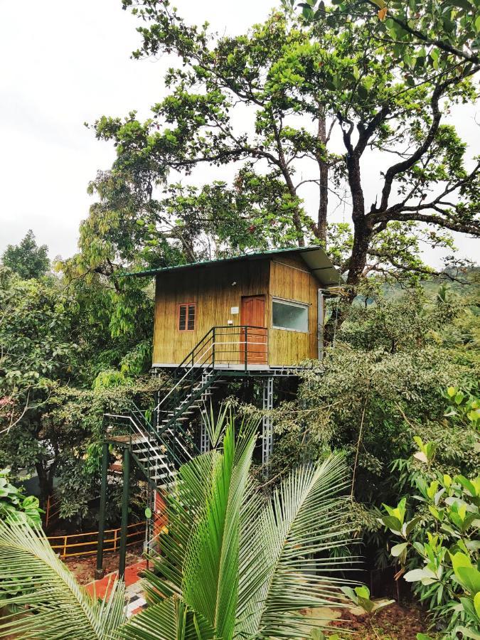 Nutmeg Valley Idukki Ngoại thất bức ảnh