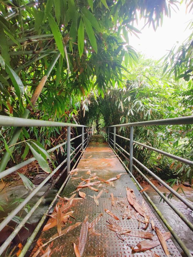 Nutmeg Valley Idukki Ngoại thất bức ảnh
