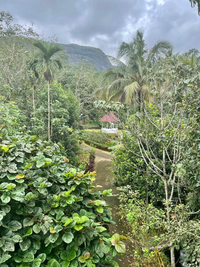 Nutmeg Valley Idukki Ngoại thất bức ảnh