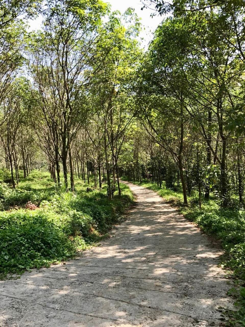 Nutmeg Valley Idukki Ngoại thất bức ảnh