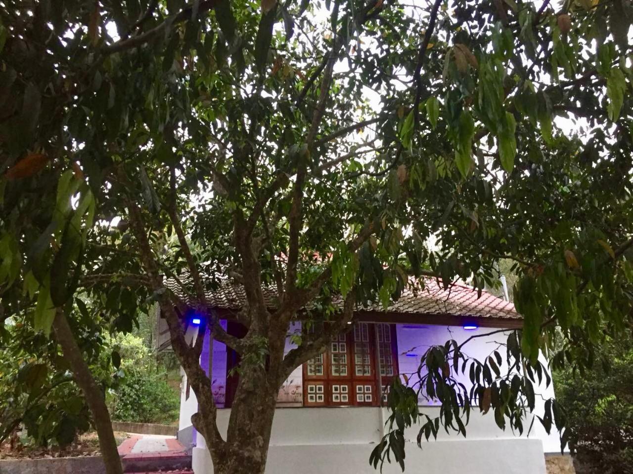 Nutmeg Valley Idukki Ngoại thất bức ảnh