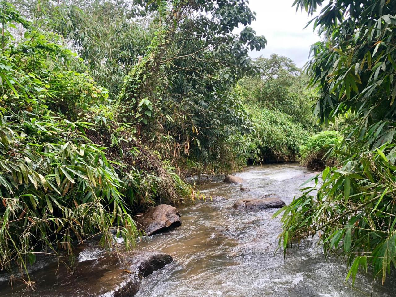 Nutmeg Valley Idukki Ngoại thất bức ảnh